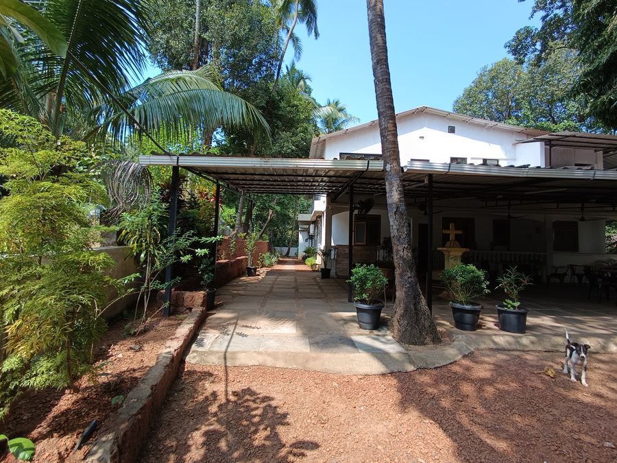 Photo Jangala Hotel Goa