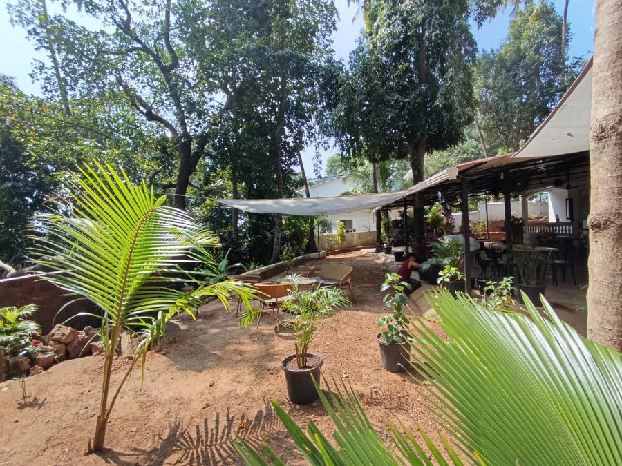 Photo Jangala Hotel Goa