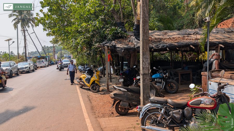 Photo Jangala Hotel Goa