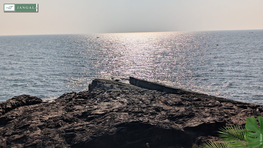 Photo Jangala Hotel Goa