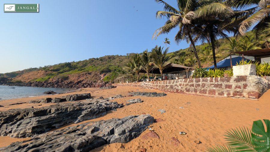 Photo Jangala Hotel Goa