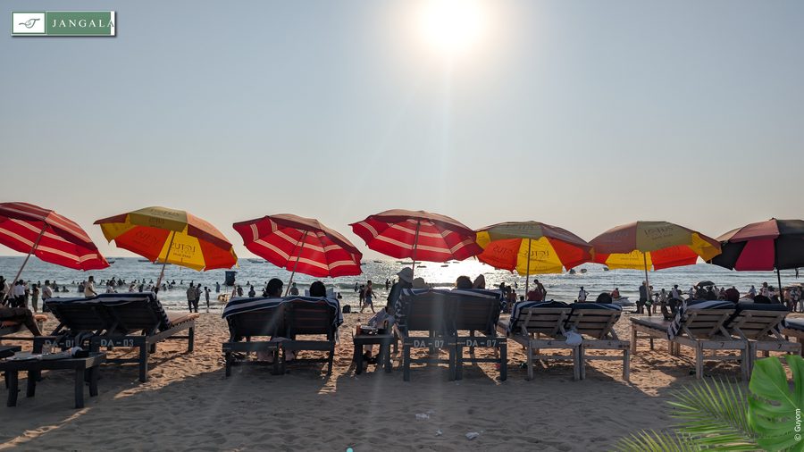 Photo Jangala Hotel Goa