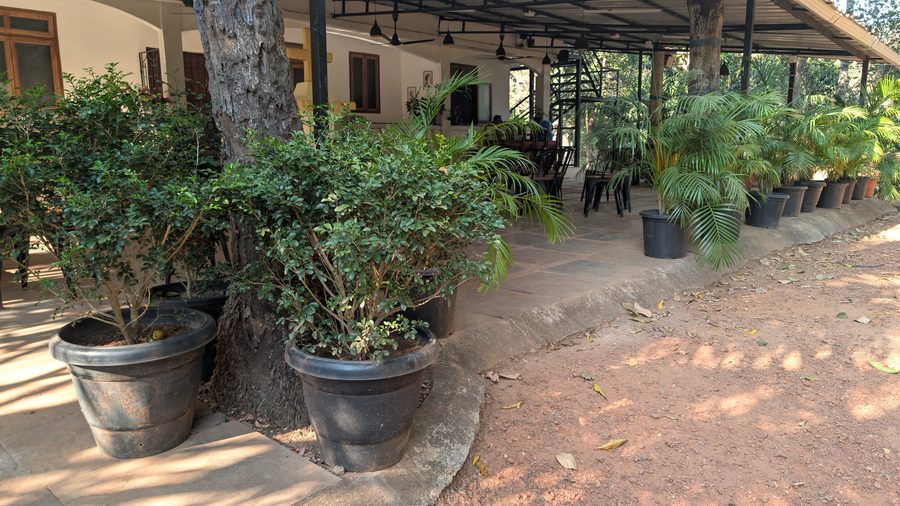 Photo Jangala Hotel Goa