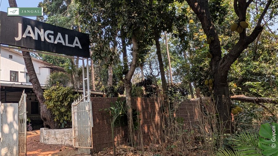 Photo Jangala Hotel Goa