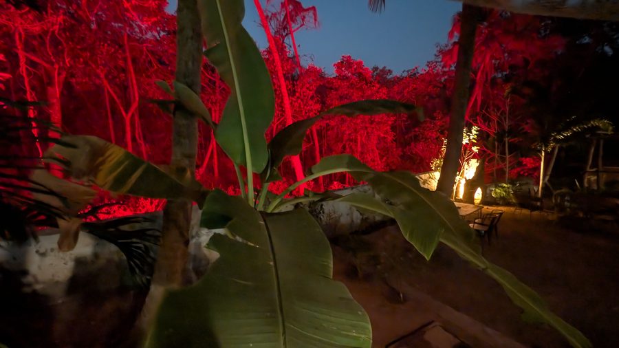 Photo Jangala Hotel Goa