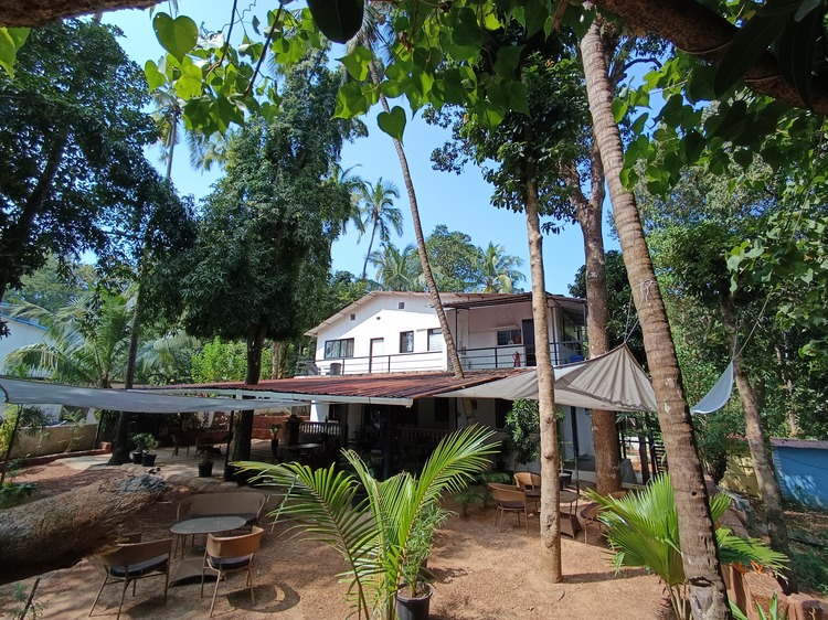 Chambre boutique Jangala Hotel Goa